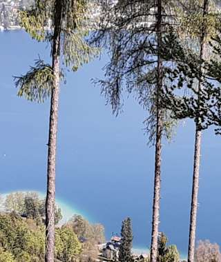 Aussicht auf den Wörthersee