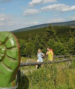 Brockenblick vom Torfhaus.