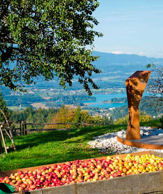 Apfelernte mit Blick auf den Faaker See.