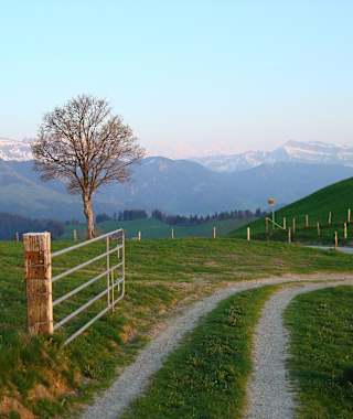Auf der Risisegg oberhalb Escholzmatt