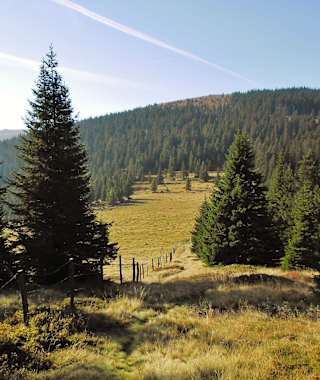 Blick auf den Wildbachsattel