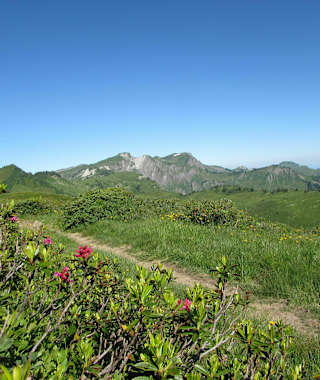 Eine einfache Etappe von Damüls nach Freschen
