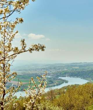 Ausblick von Klostergarten in Maria Taferl auf Donau und Nibelungengau