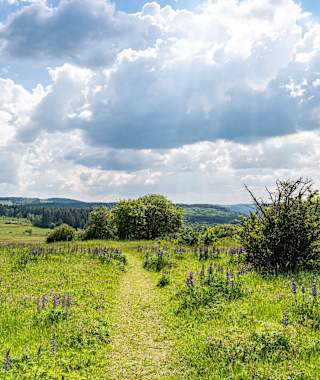 Frühlingslandschaft am Dreiländereck 