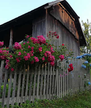 knapp vor Luče – eine erfrischende Begrüßung 