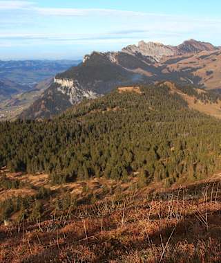 Im Herbst ist es auf der Haglere besonders schön