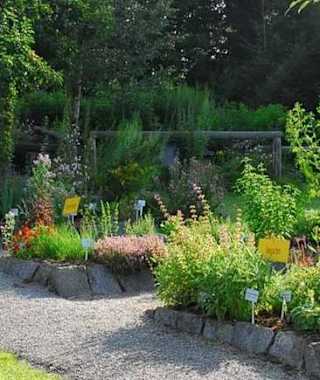 Kräutergarten in Klaffer