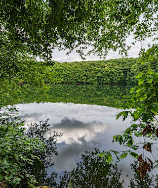 Die Bernshäuser Kutte