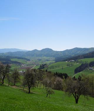 Blick ins Granitztal