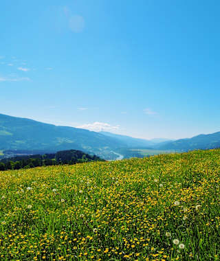 Blick auf die Ausläufer der Koralpe und die Drau