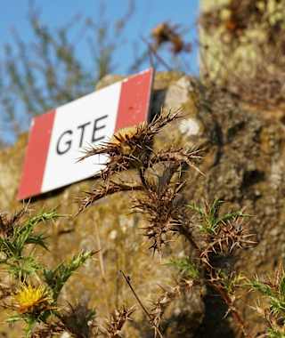 Die Grande Traversata Elbana zeigt sich zumeist gut markiert.
