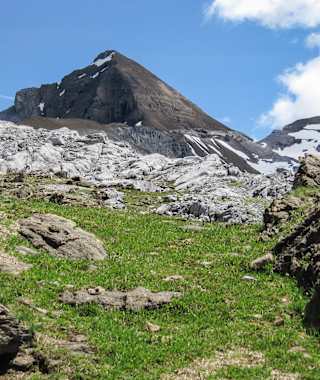 Engelberger Rotstock