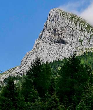 Blick auf den Luggauer