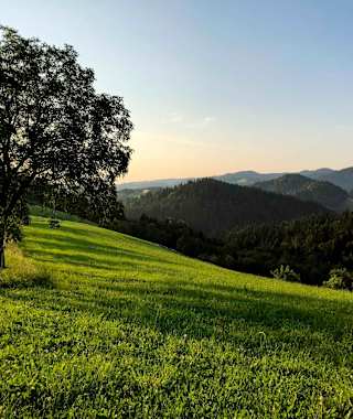 Gemütliche Abschnitt auf Etappe 12 in Richtung Neumarkt