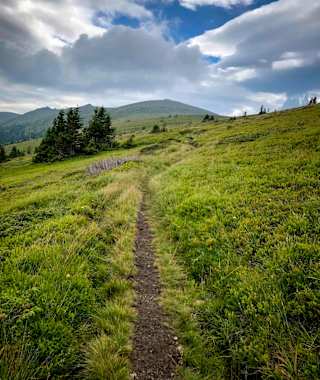 Auf dem Weg zur Pack