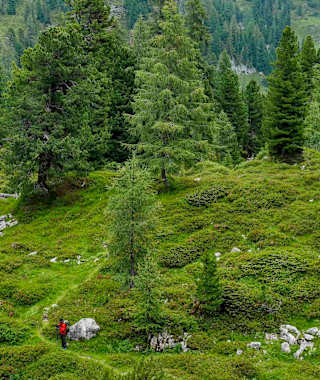 Auf dem Weg zum Stoderzinken wandert man durch abwechslungsreiches Gelände.
