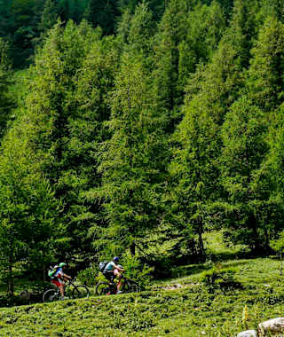 In den Fischbacher Alpen finden auch Mountainbiker schöne Routen.