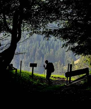 Unterwegs im Naturpark Almenland