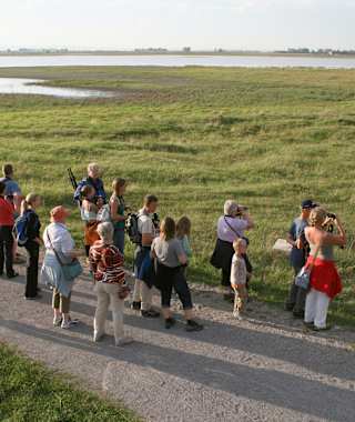 Exkursionsgruppe im Gebiet der Langen Lacke im Nationalpark Neusiedlers-Seewinkel