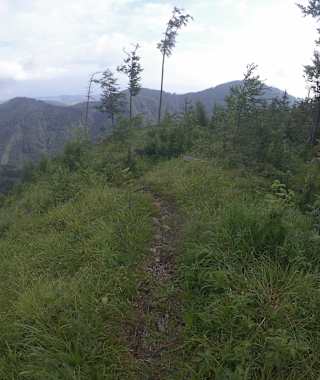 Berglaufen am Feuerkogel