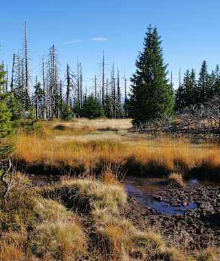 Nationalpark Bayerischer Wald