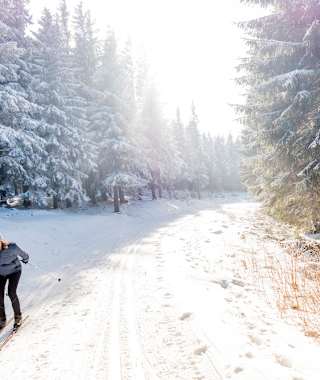 Langlaufen im Thüringer Wald