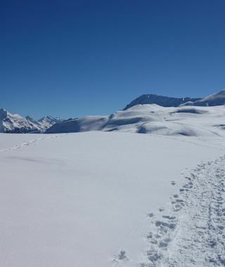 Über die weite Ebene