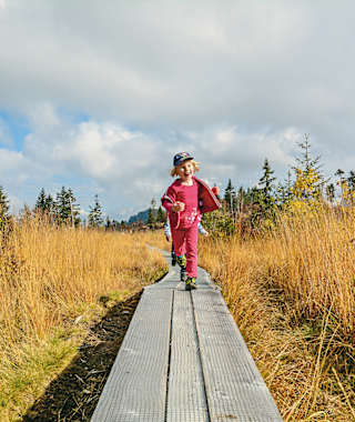 Freude bereiten die langen Stege durch das farbenfrohe Hochmoor.