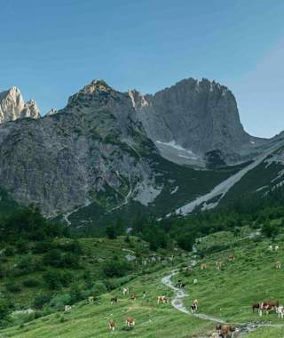 Von der Gaudeamushütte blickt man hinauf ins Ellmauer Tor.