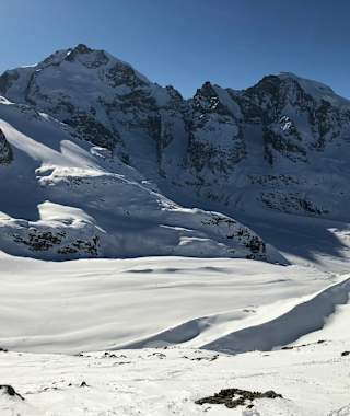 Blick auf Piz Palü und Piz Bernina