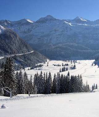 Blick von der Gnadenalm auf das letzte Stück der Route