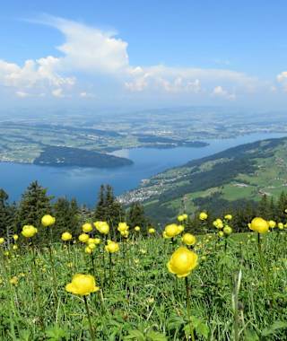 Herrliche Aussicht auf den Zugersee