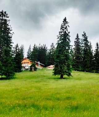 Die Gufferthütte steht auf malerisch auf saftigen Almwiesen.