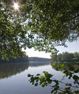 Goldsteig - Südvariante - Etappe 9: Von Neunburg vorm Wald nach Mappach