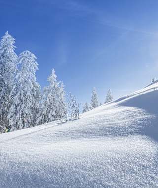 Aufstieg zur Kings Cab Bahn-Bergstation