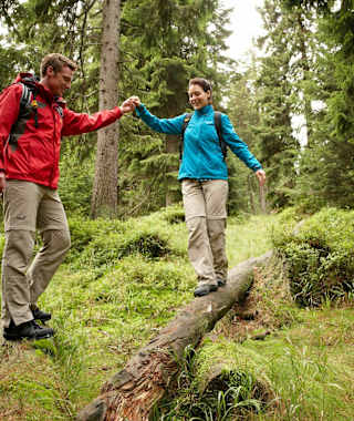 Wandern am Harzer-Hexen-Stieg.