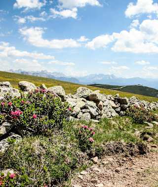 Himmelstour am Rittner Horn