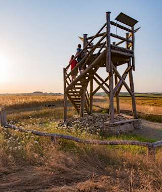 Der Aussichtsturm am Hirnberg
