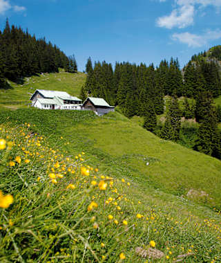 Gastfreundliche Einkehr unter dem Spieser: die Hirschalpe