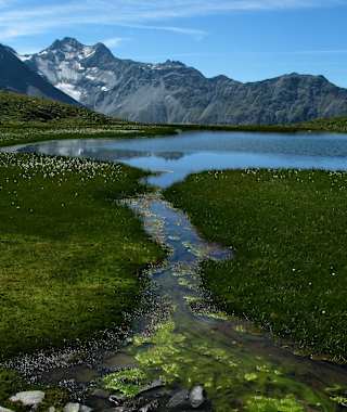 Hochschober und Ralfkopf