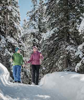 Die Wanderung führt durch den verschneiten Zirbenwald aufwärts. 