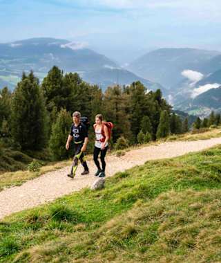 Wandern zwischen der Waldgrenze und dem Latemar