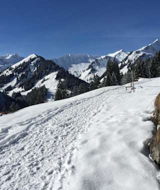Höhenweg von Hirschegg nach Mittelberg nach dem Alpenwald