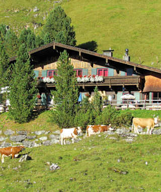 Hüllensteinhütte: Sommer