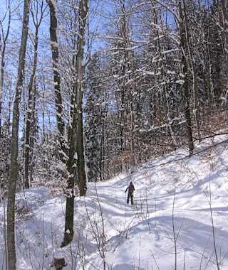 Ausreichende Schneelage durch Wald