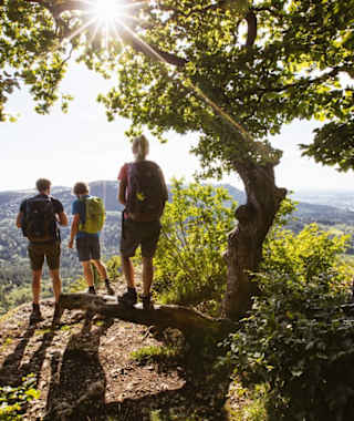 Aussicht vom Gräbelesberg