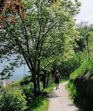 Waalweg oberhalb von Lana