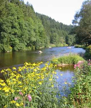 Goldsteig - Südvariante - Etappe 21: Von der Schrottenbaummühle nach Ruderting