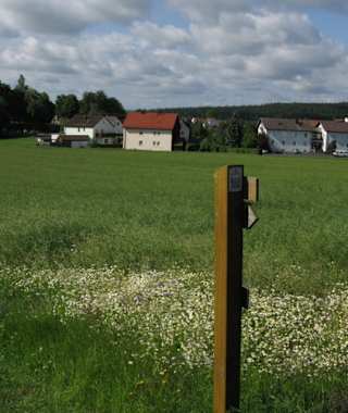 Goldsteig - Nordvariante - Etappe 2: Von Friedenfels nach Falkenberg