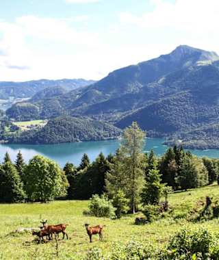 Aussicht von der Lärchenhütte